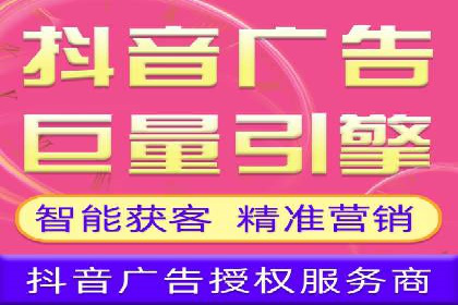 高效SEM托管公司案例对比分析